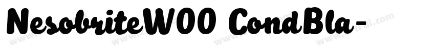 NesobriteW00 CondBla字体转换 NesobriteW00 CondBla字体转换
